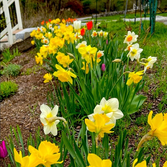 Meet your Posher, MrsPeck - Picture 5 of 6